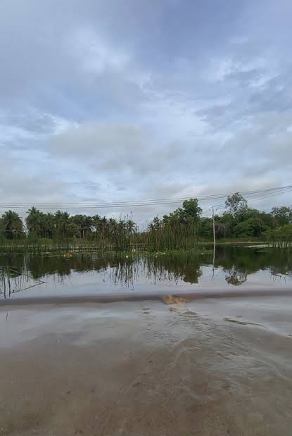 ಗುಬ್ಬಿ ಚೇಳೂರು ಕೆರೆ ಕೋಡಿ ರೈತರಲ್ಲಿ ಸಂತಸ